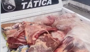 Carga de 700 kg de carne roubada é apreendida em operação policial