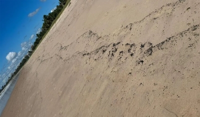 Manchas de óleo são encontradas em praias de duas cidades da Paraíba, e Sudema vai investigar