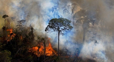 Noruega retomará ajuda ao Brasil contra o desmatamento da Amazônia após vitória de Lula