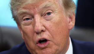 Trump confunde Índia com Brasil ao elogiar rapidez da apuração