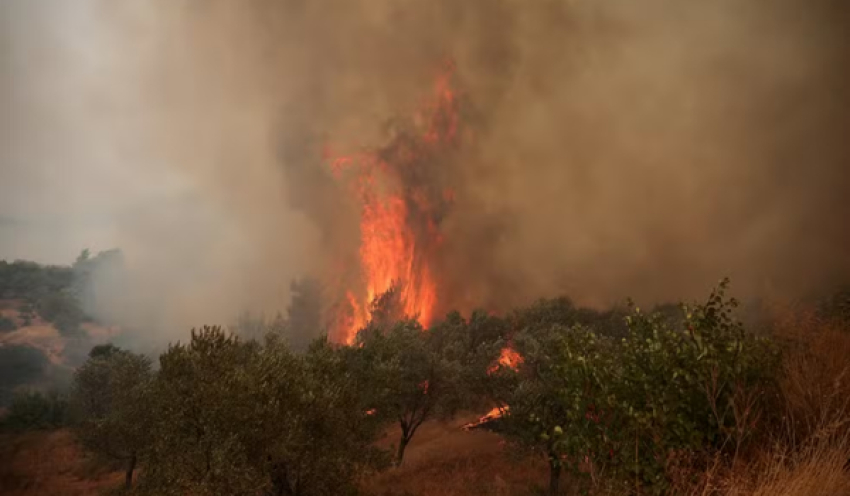 Prefeito é preso, acusado de ser responsável por incêndio florestal na Grécia