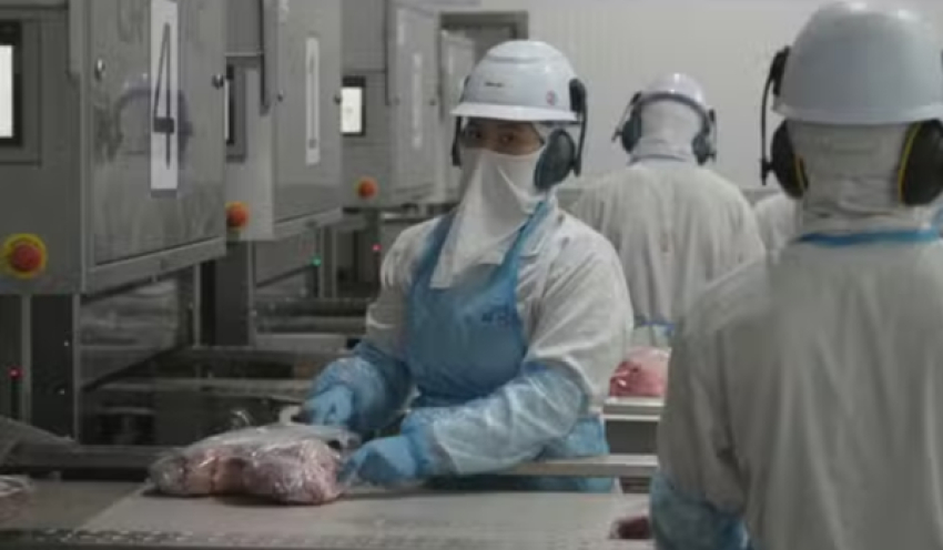 Brasil praticamente esgota cota de carne bovina à China e reduz abates, diz StoneX