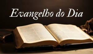 Evangelho do Dia - 22 de Maio de 2026
