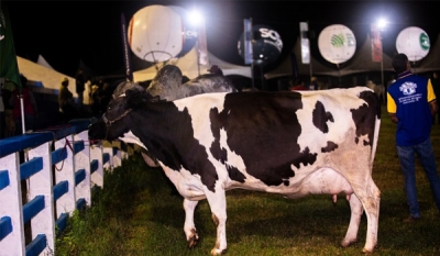 Exposição Paraibana de Animais e Produtos Industriais de Campina Grande é aberta ao público