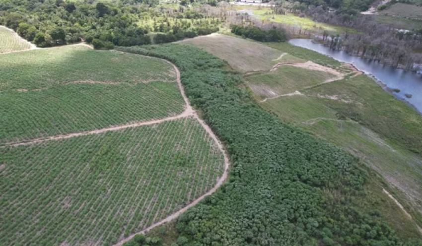 MP pede paralisação de obra por possíveis danos à Mata Atlântica e investiga construtora na PB