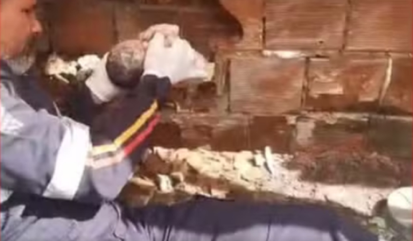 Recém-nascido é encontrado abandonado entre duas residências no Litoral Sul da Paraíba