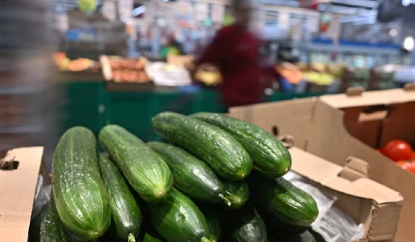 'Prévia do PIB' do Banco Central tem crescimento de 0,8% em janeiro, maior expansão mensal em um ano