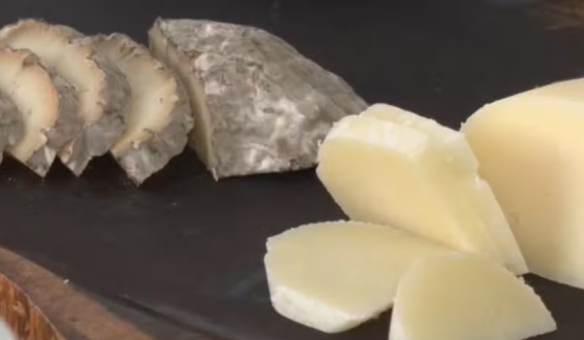 Queijo de mofo azul produzido na Paraíba conquista prêmio em concurso internacional em MG