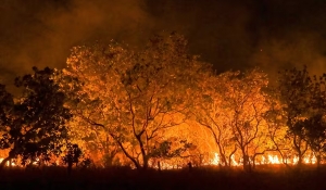 Lula assina decreto que endurece sanções para quem provocar incêndios florestais