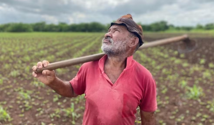 Agricultores apostam na chuva do Dia de São José, mas precipitações atingem apenas 19 cidades